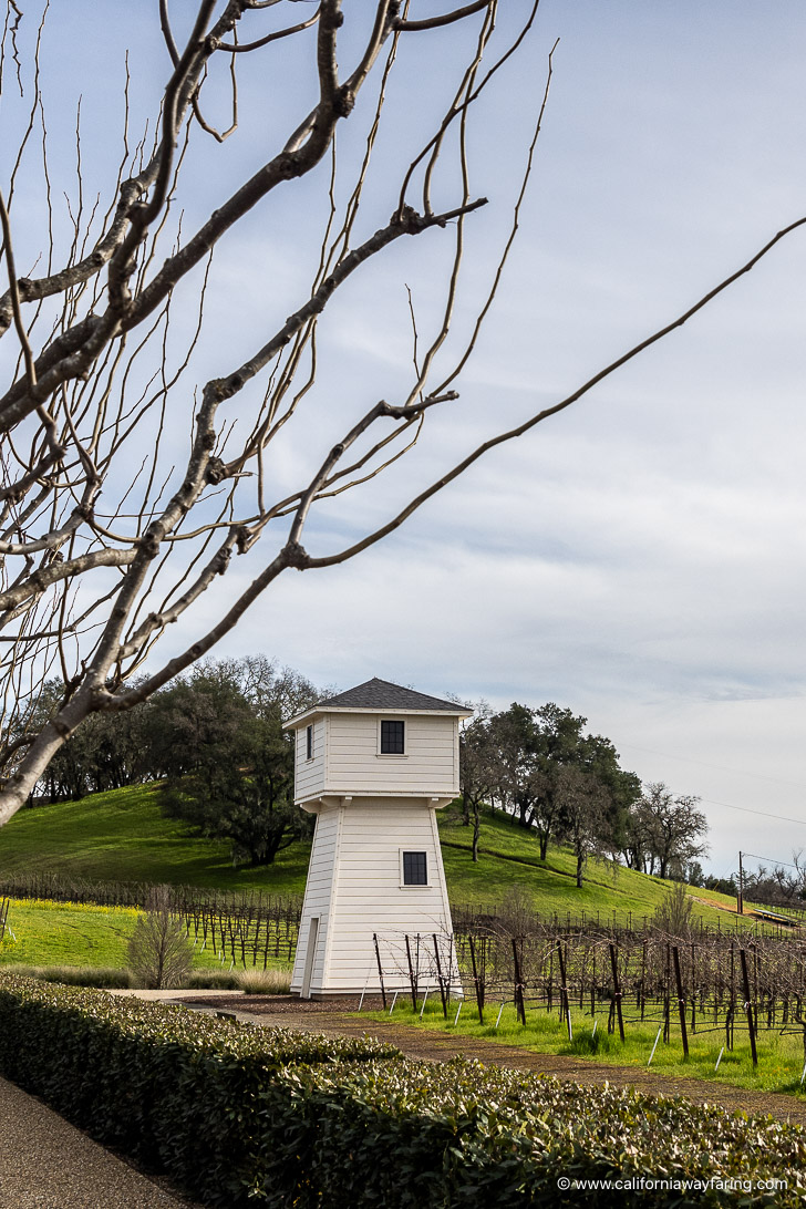 Alexander Valley tower