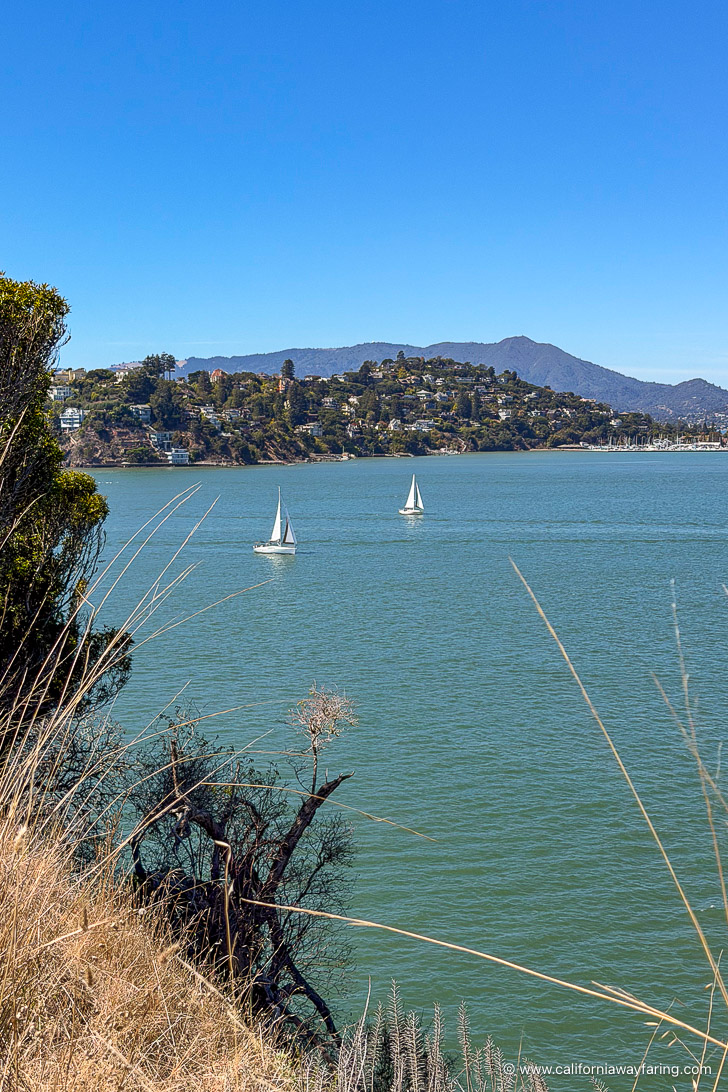 Angel Island View