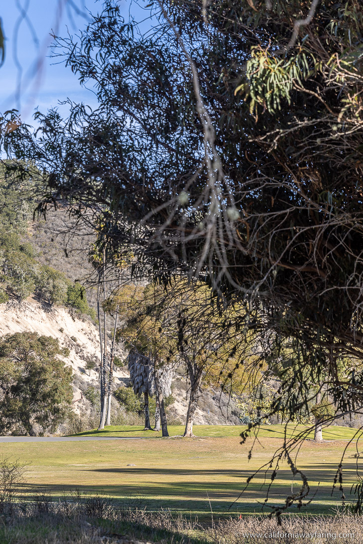 Avila Beach Golf Resort