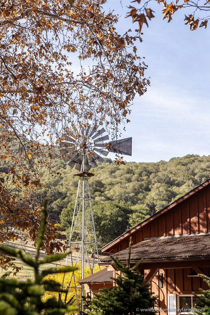 Avila Valley Barn