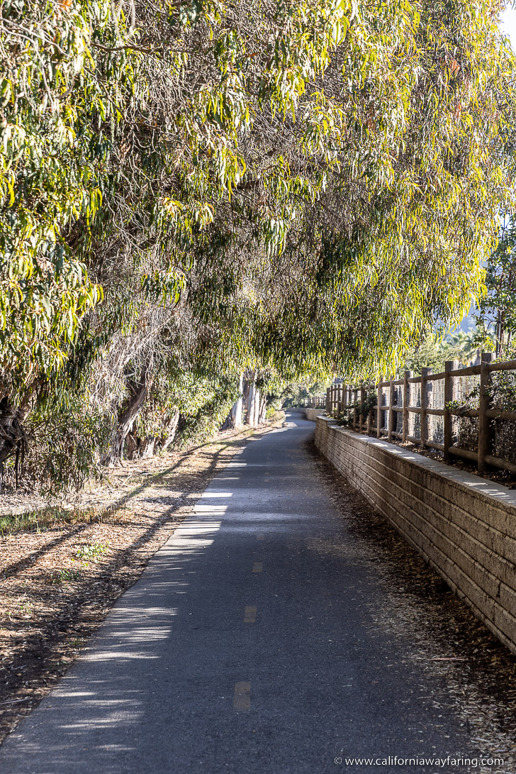 Bob Jones Trail