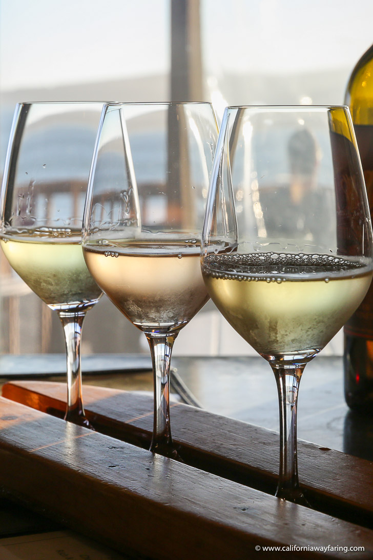 Bodega Bay wine tasting