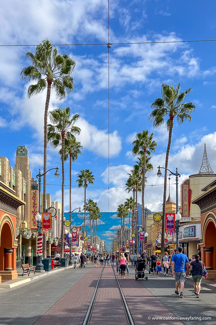California Adventure street
