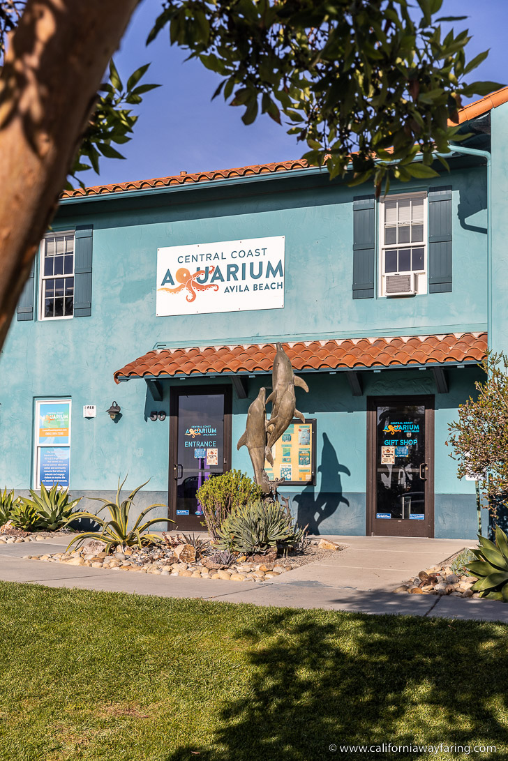 Central Coast Aquarium