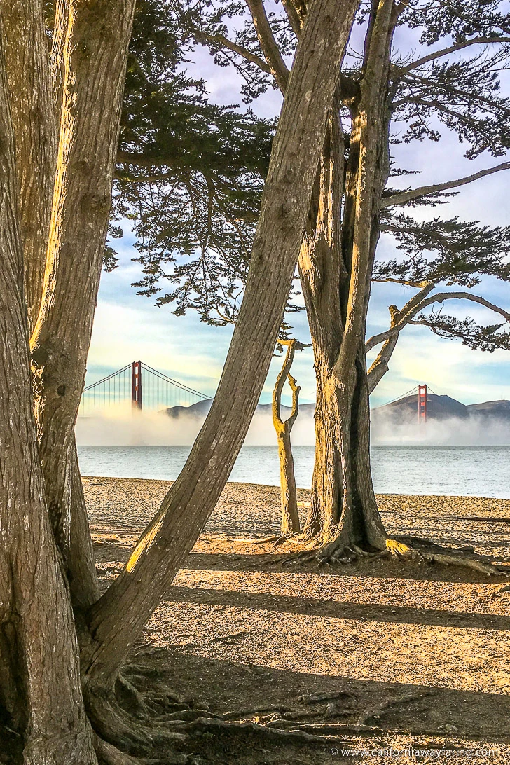 Crissy Beach and the Golden Gate Bridge in San Francisco