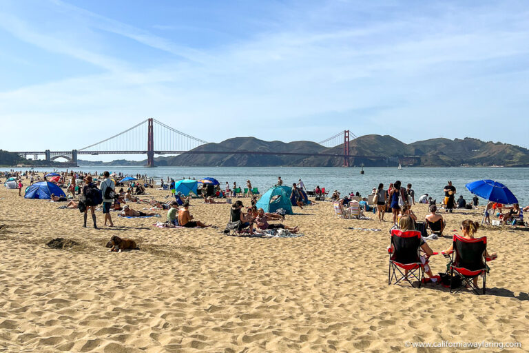 Crissy Field Beach in the sunshine