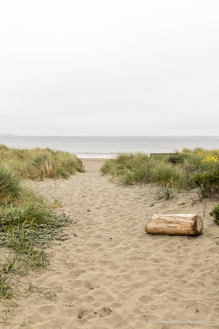 Doran Park beach