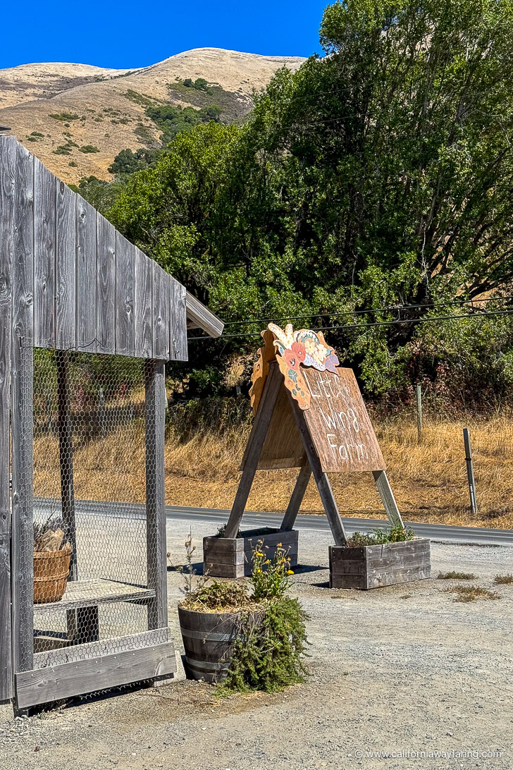 Farm stand in Nicasio