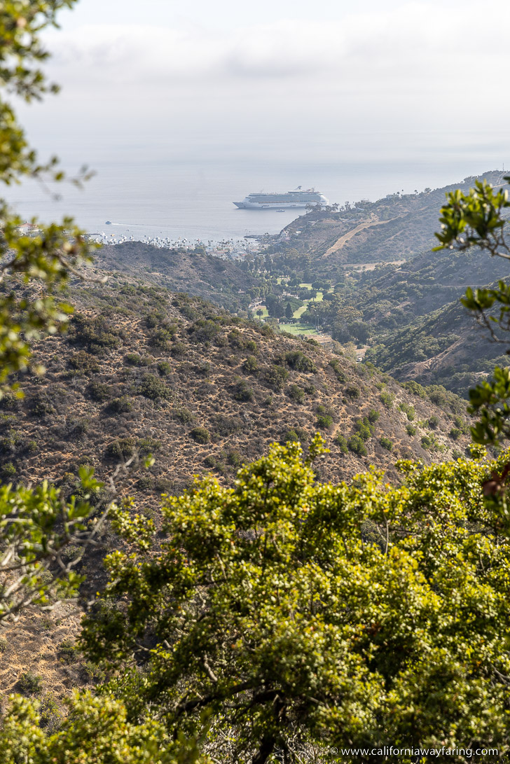 Garden to Sky Hike View