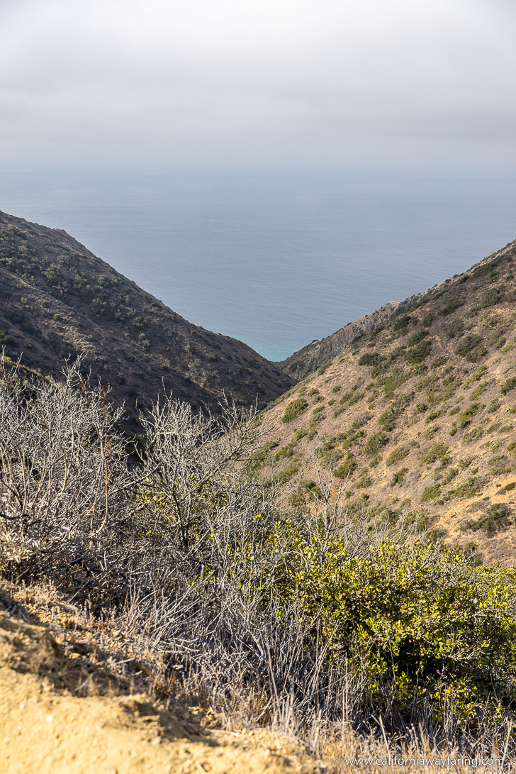 Garden to Sky Summit View
