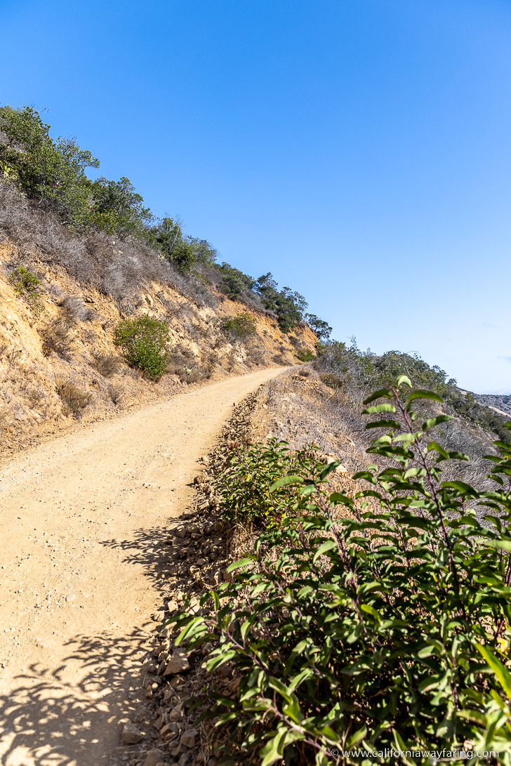 Garden to Sky Trail on Catalina Island