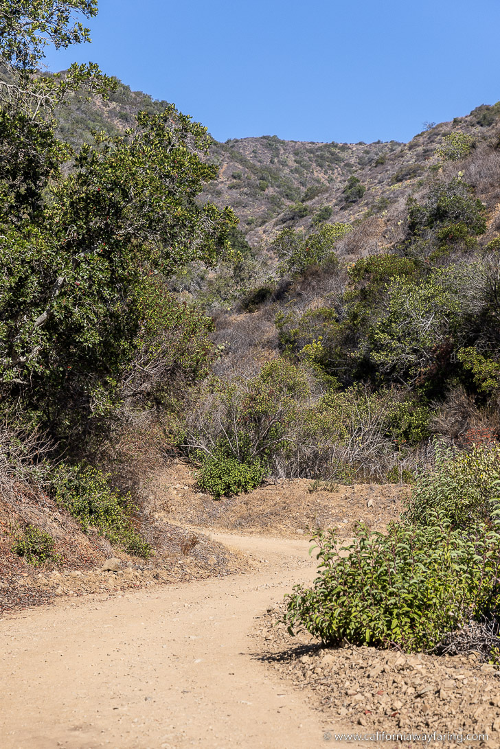 Garden to Sky Trail