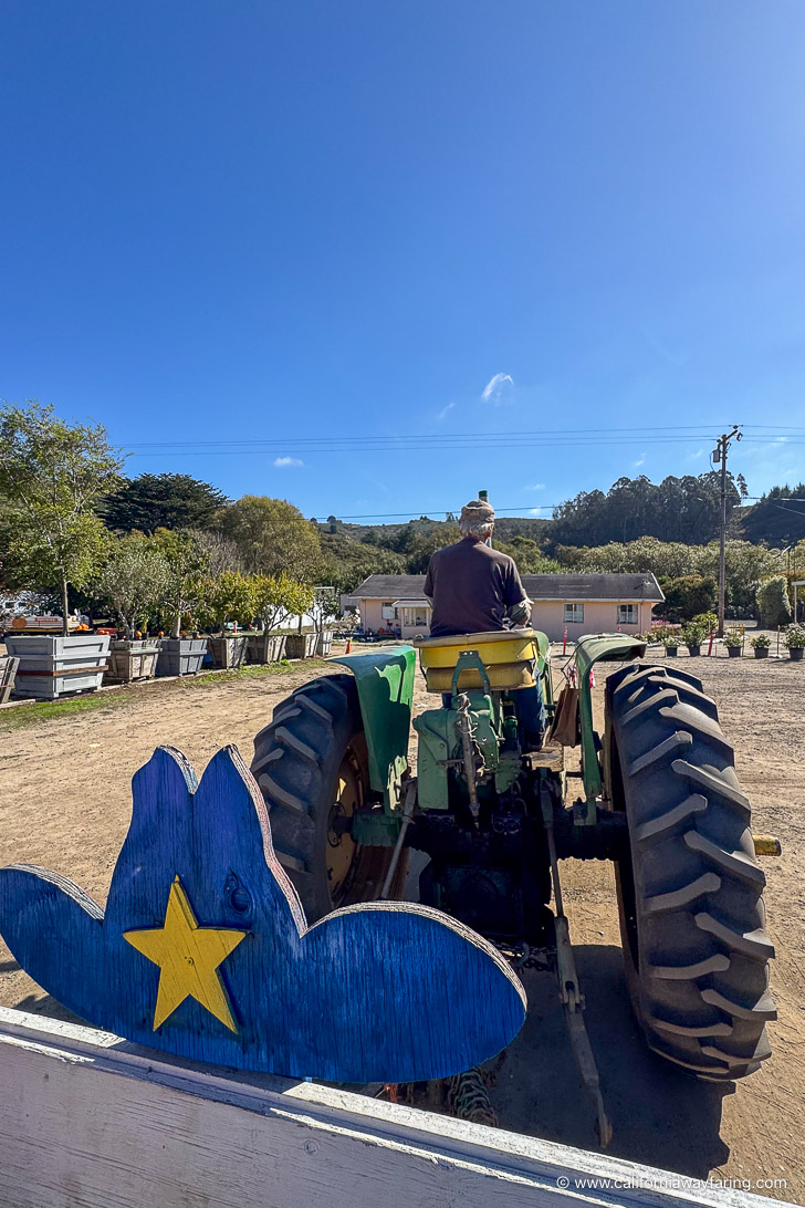 Half Moon Bay tractor ride