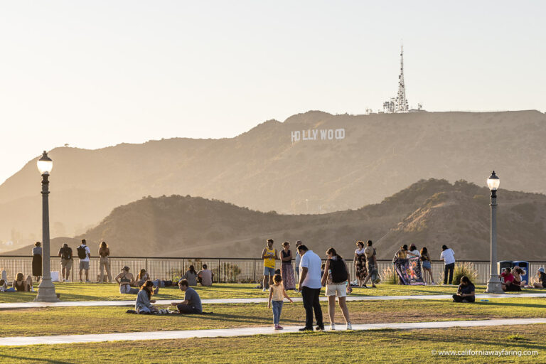 Hollywood Sign