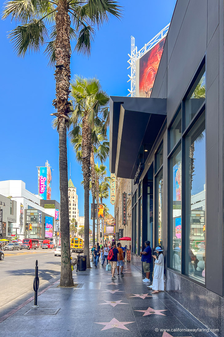 Hollywood Walk of Fame sidewalk