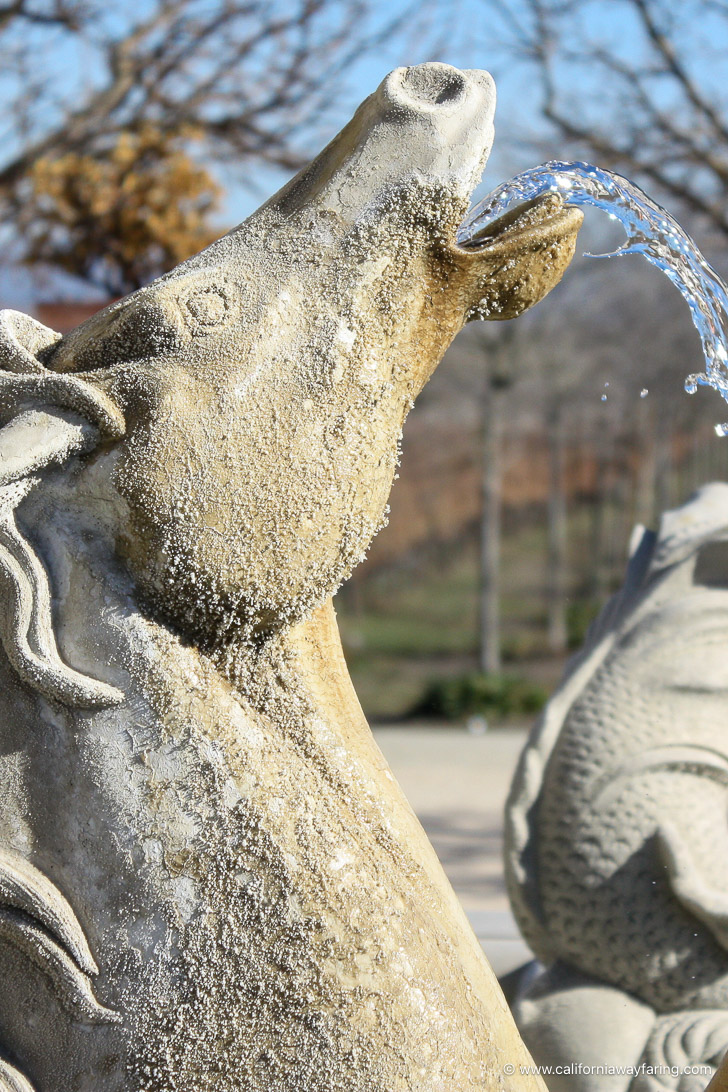 Horse fountain at a winery