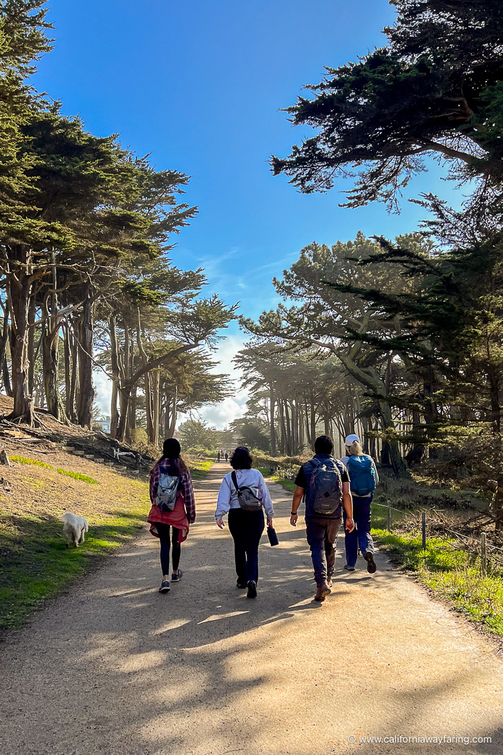 Lands End Hike