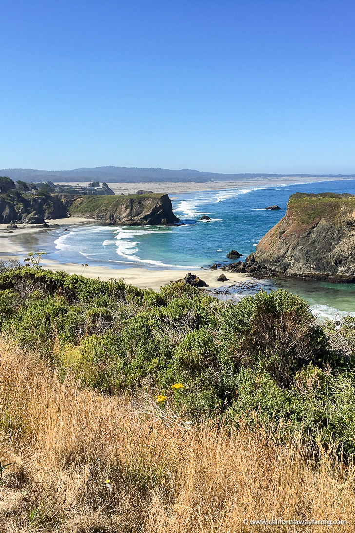 Mendocino Coast View