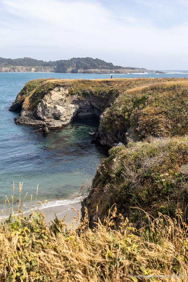 Mendocino Headlands