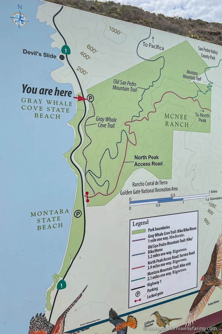 Montara Mountain Hike & Trail Map Bay Area Hike in California