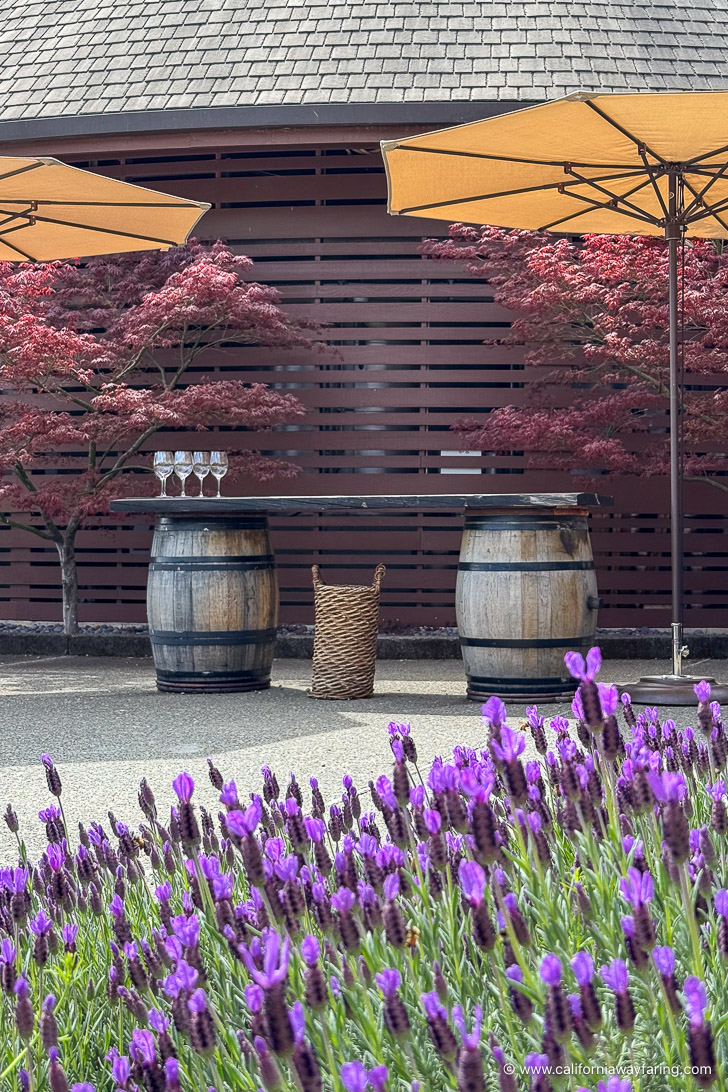 Moon Mountain Winery