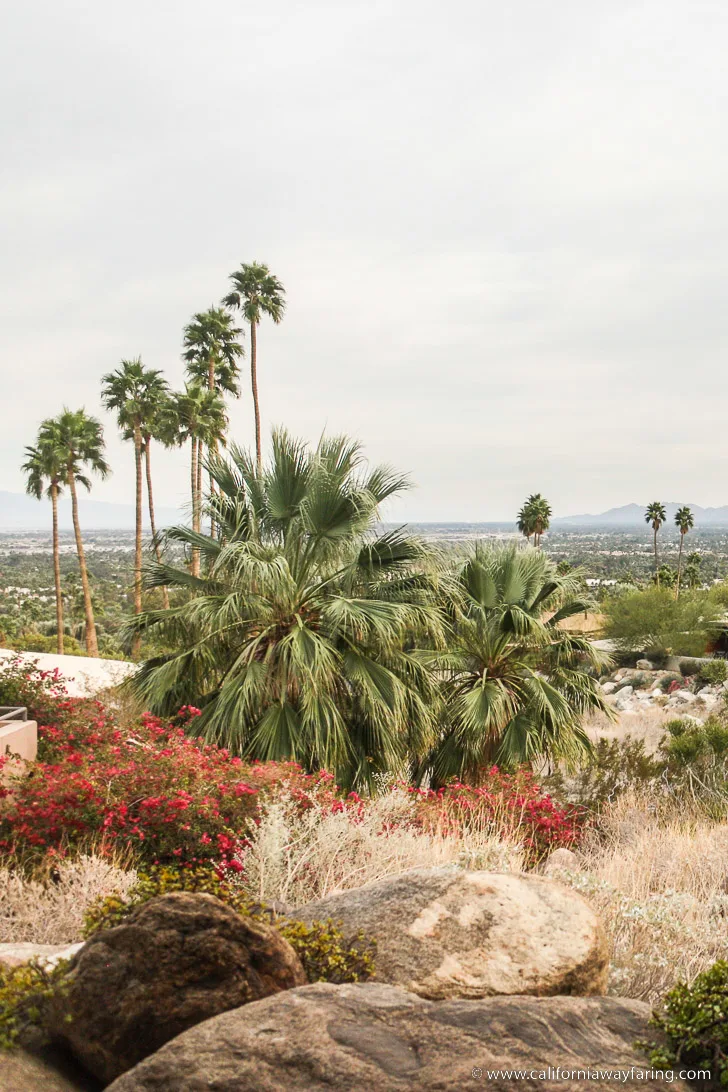 Palm Springs View