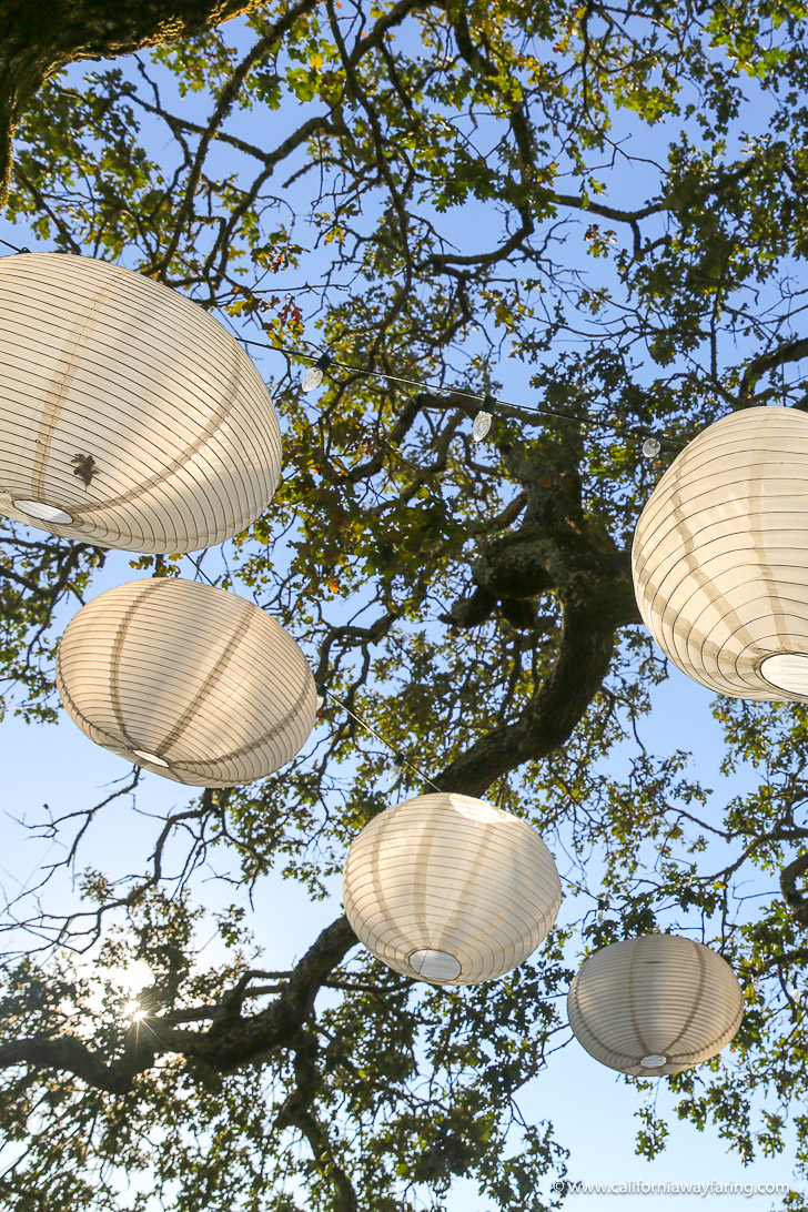 Paper lanterns at a Sonoma winery