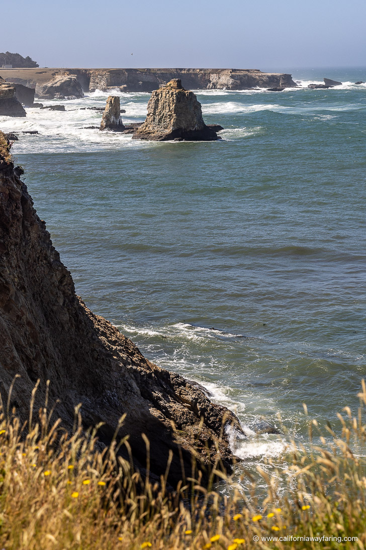 Point Arena Stornetta Lands