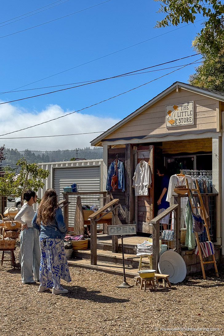 Point Reyes Station Shop