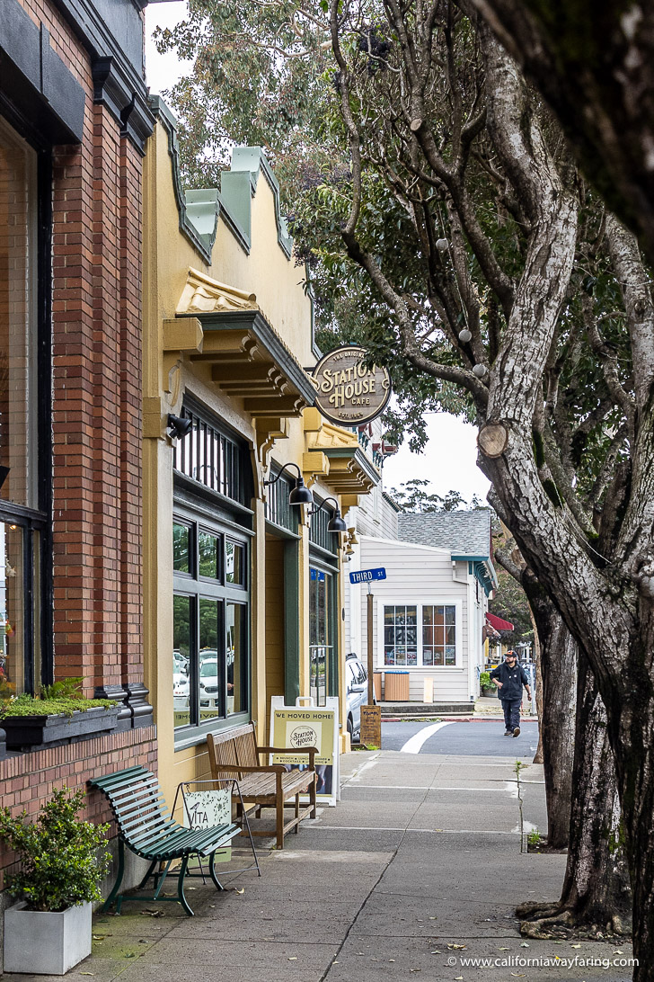 Street in Point Reyes Station, California