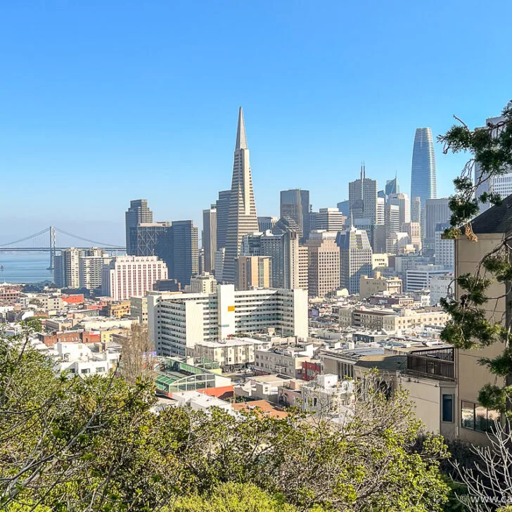 San Francisco Skyline from Russian Hill