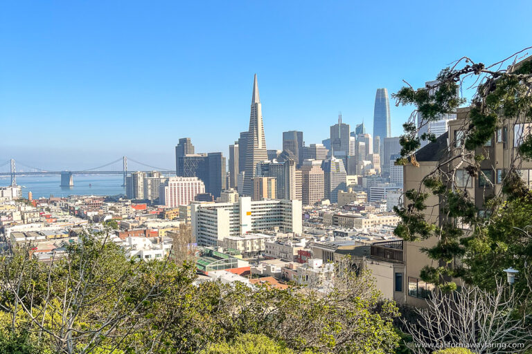 San Francisco Skyline from Russian Hill