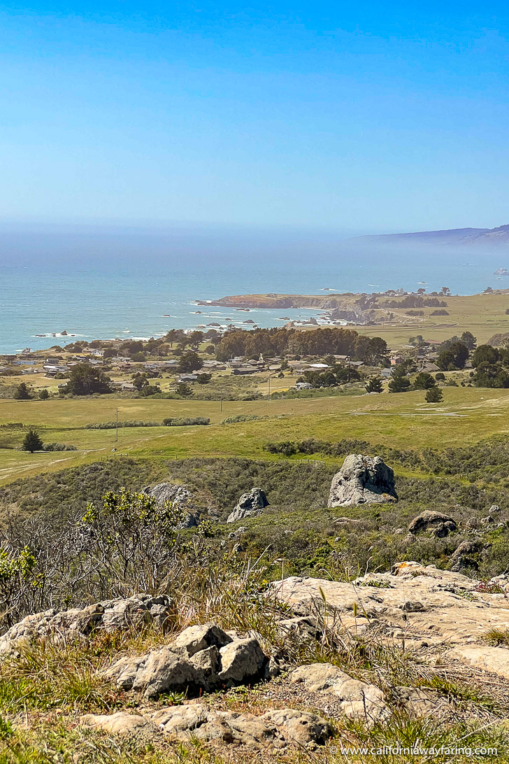 Sonoma Coast