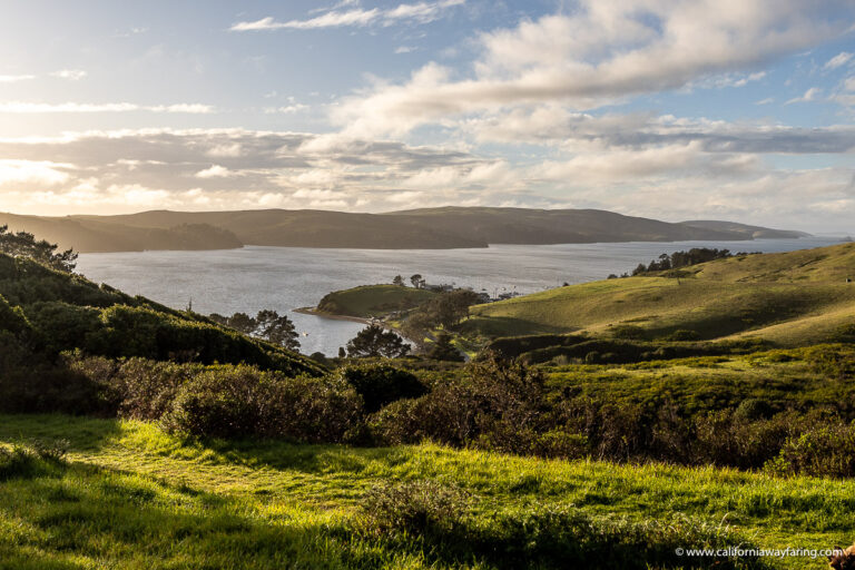 Tomales Bay view