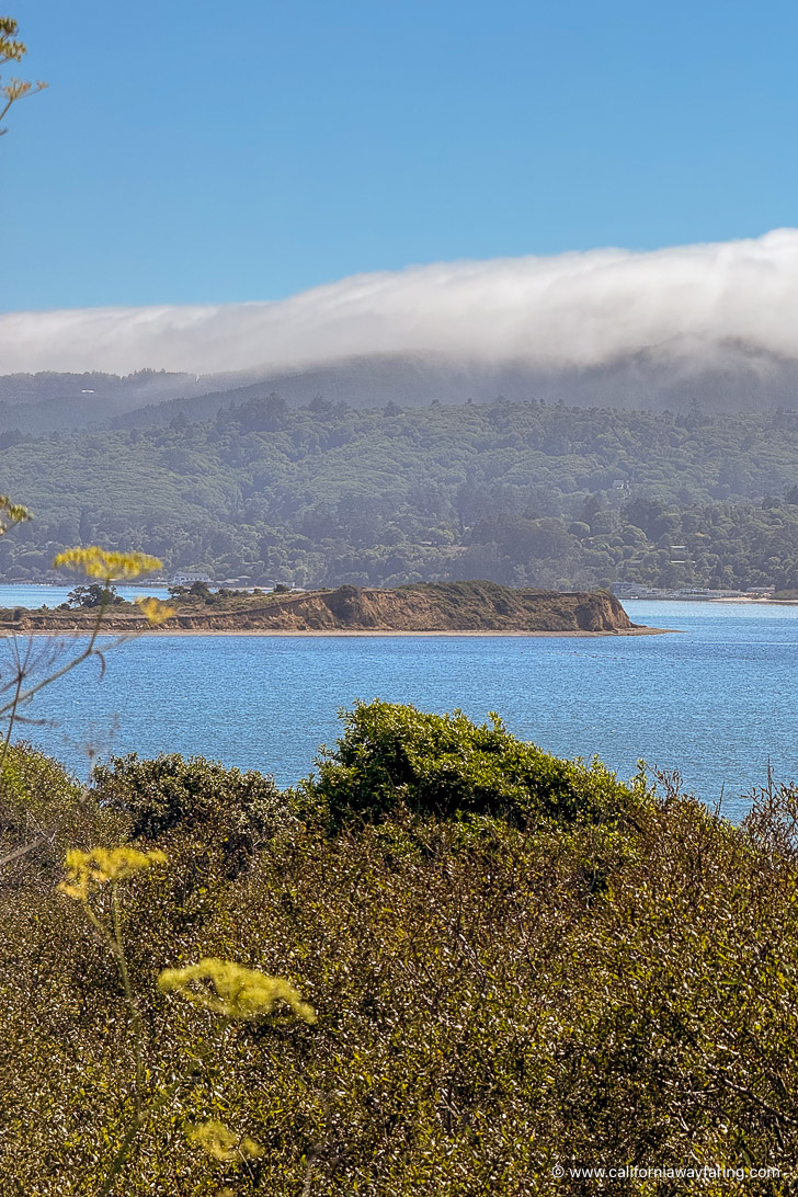 Tomales Bay