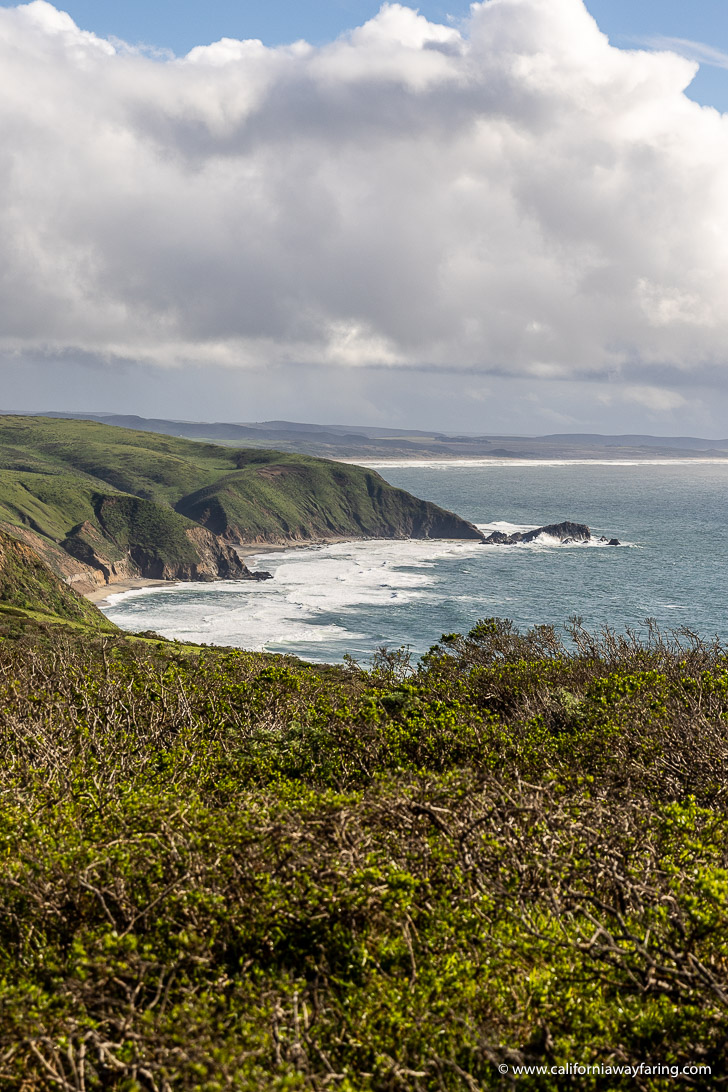 View of a beach from Tomales Point Trail
