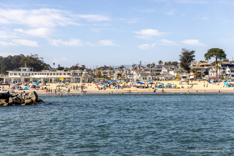 Twin Lakes State Beach