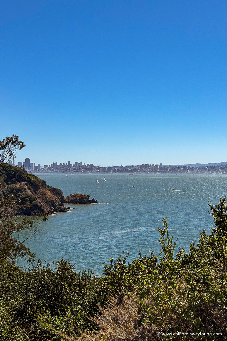View from Angel Island