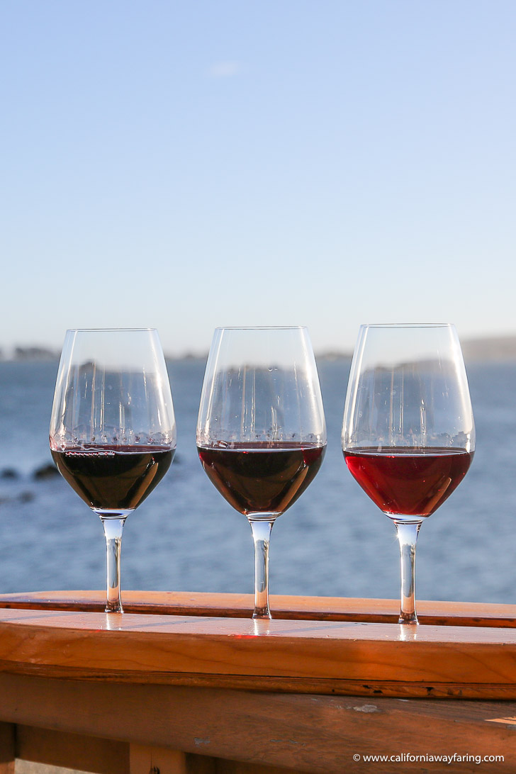 Wine tasting in Bodega Bay