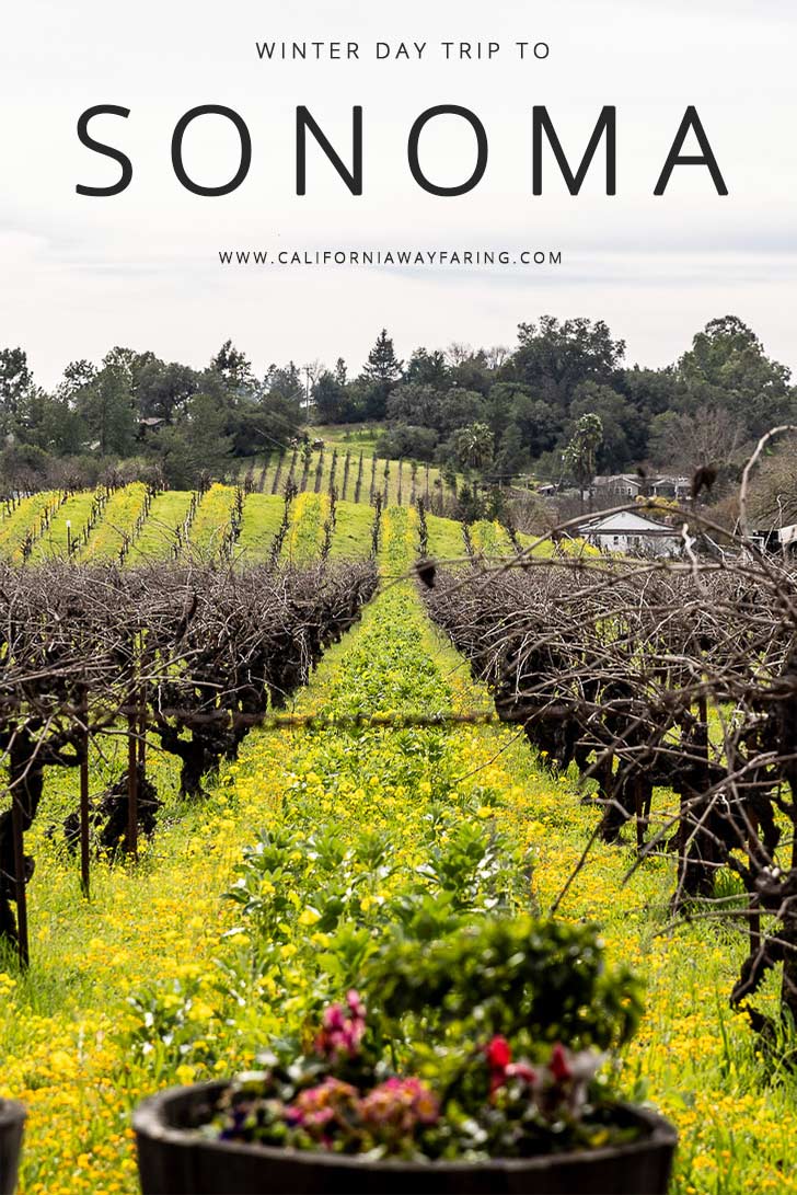 Winter Day Trip to Sonoma