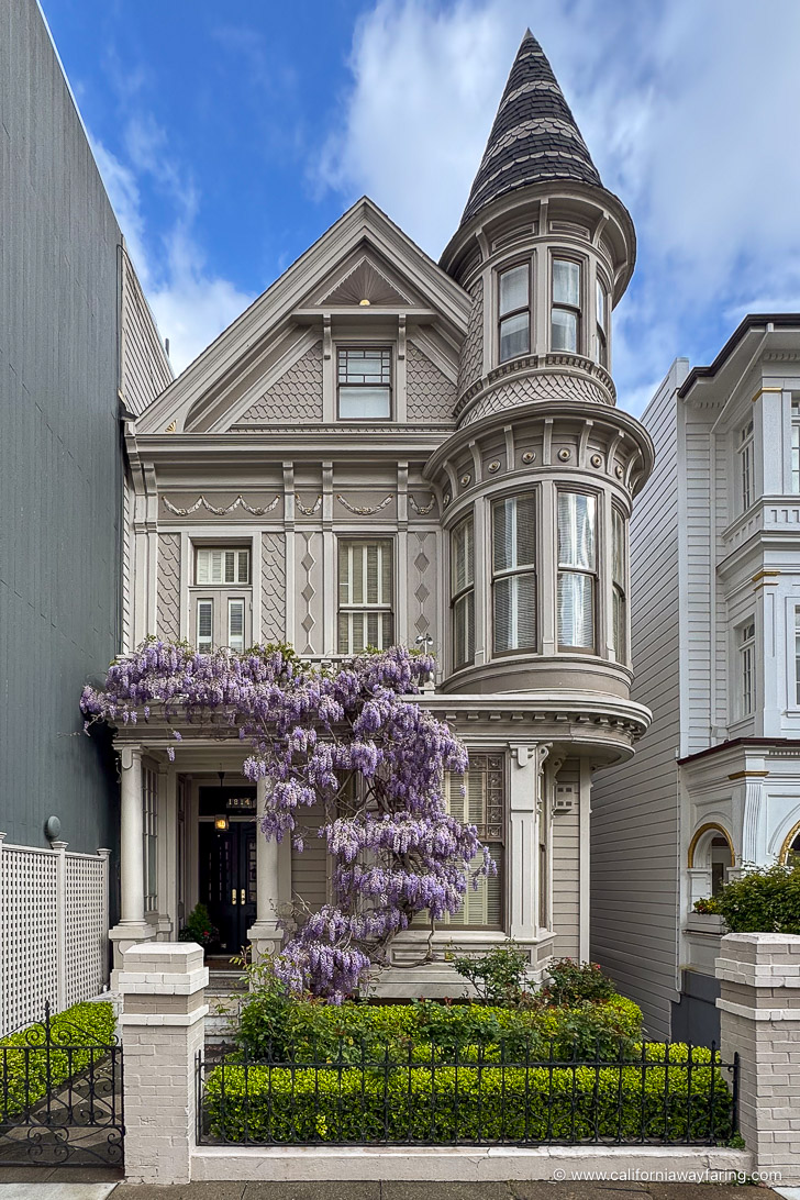 Wisteria House in San Francisco