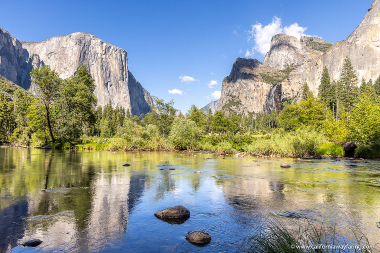 Yosemite Valley View